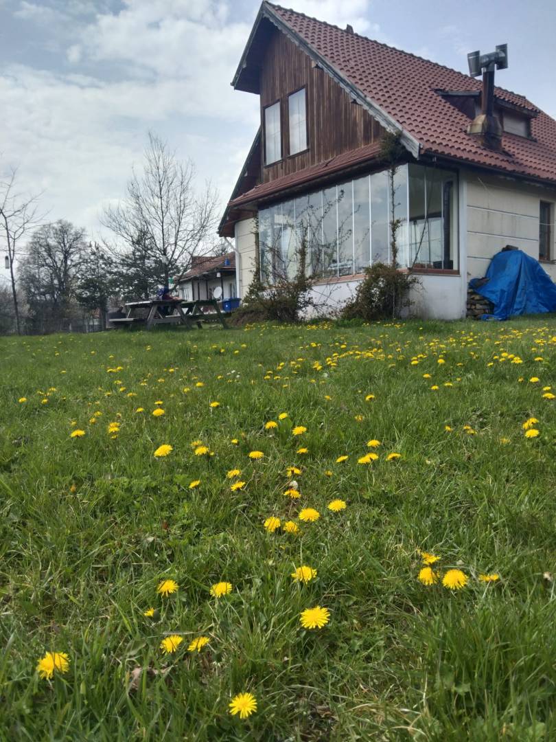 Bolu Elmalık'ta Yemyeşil Doğada, Konforlu, 2+1 Müstakil Ev 46247 — 2