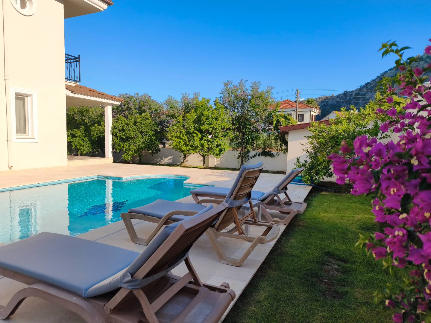 Ortaca Dalyan'da Yemyeşil Bahçeli, Özel Havuzlu, 8 Kişilik Villa