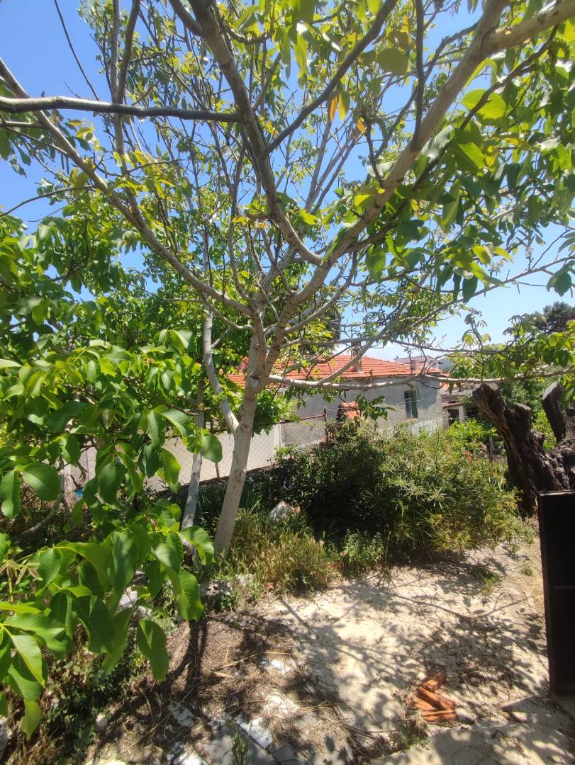 İzmir Karaburun'da Merkeze Yakın Konumda, Tarihi Yapıda, 2+1 Taş Ev
