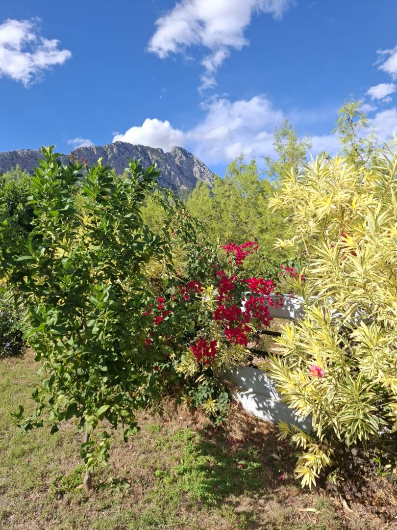 Kemer Göynük'te Doğa İle İç İçe, Özel Havuzlu, Geniş Villa