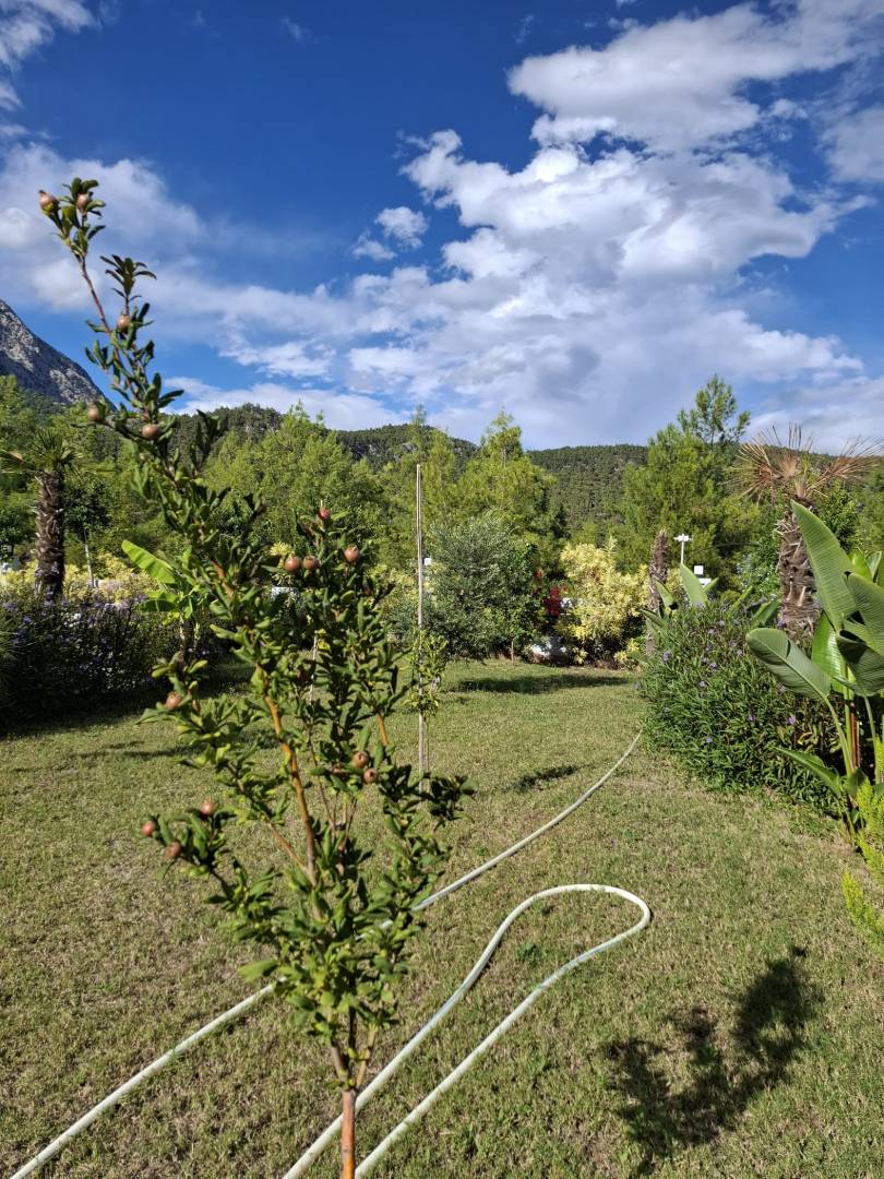 Kemer Göynük'te Doğa İle İç İçe, Özel Havuzlu, Geniş Villa