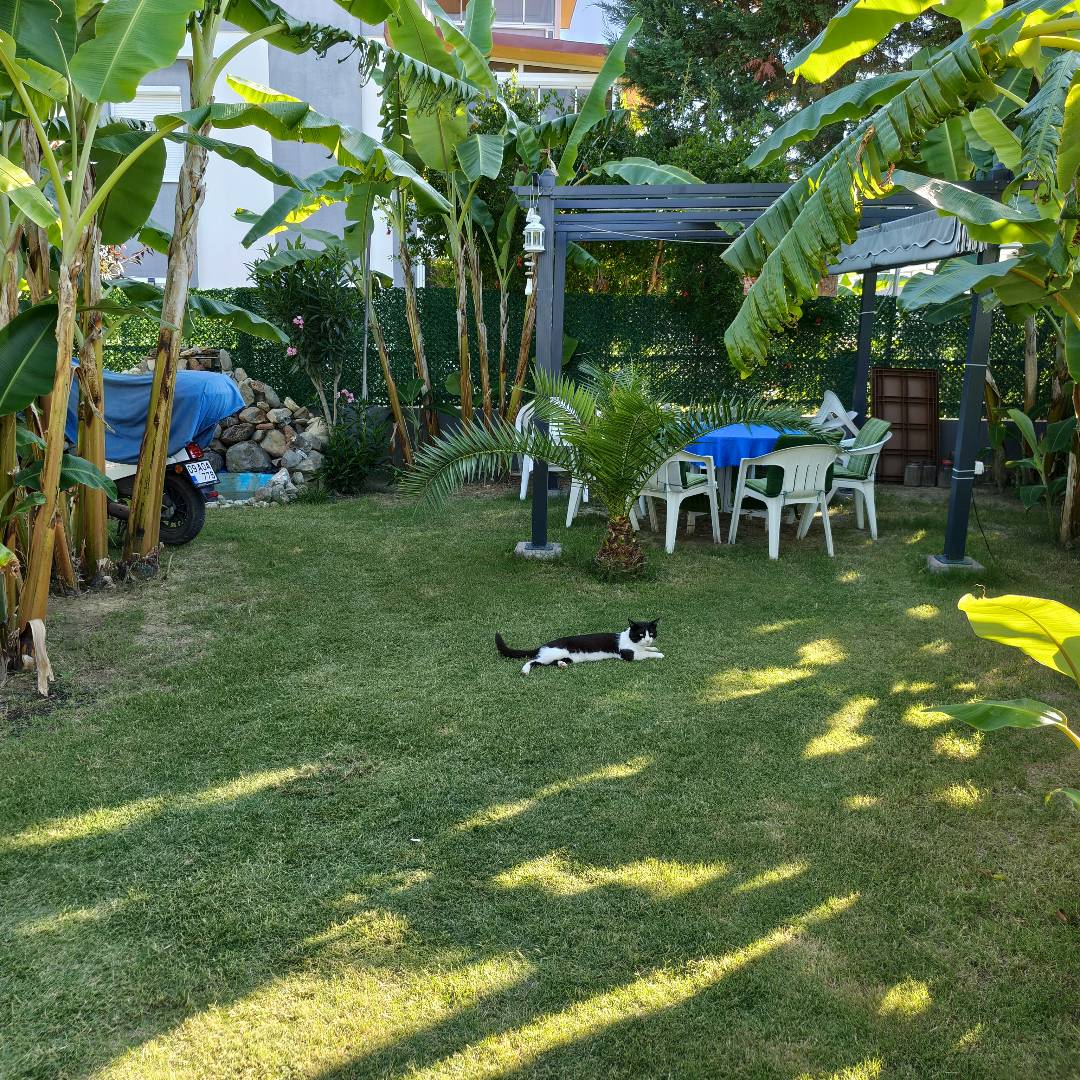 Kuşadası Güzelçamlı'da Özel Havuzlu, Özel Bahçeli, Dubleks Villa 37662 — 8