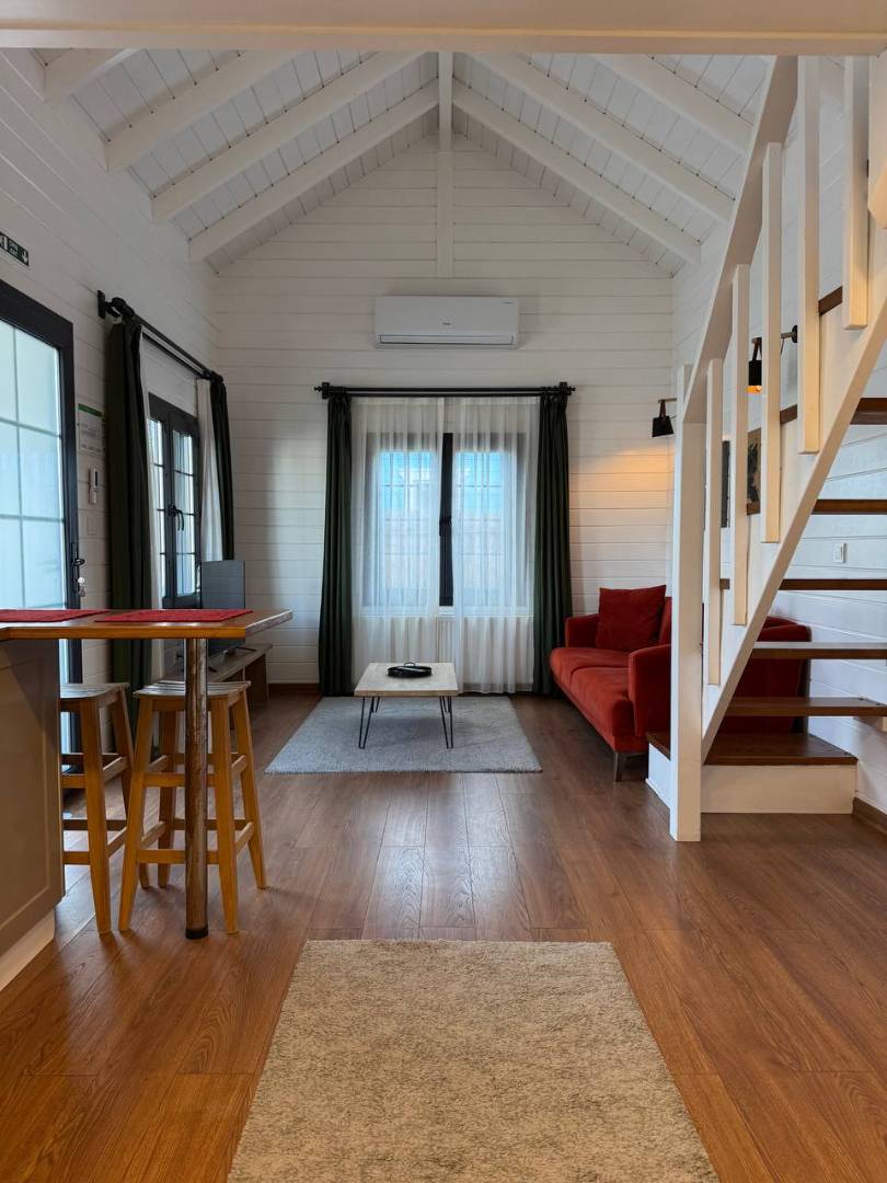 Sapanca Kırkpınar'da Minimalist Tasarımlı, Isıtmalı Havuzlu, 1+1 Tiny House
