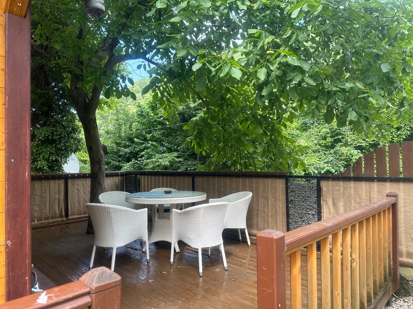 Sapanca'da Doğanın Kalbinde, Geniş Bahçeli, Kiralık Bungalov