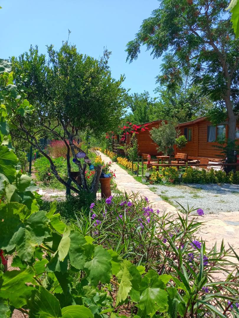 Bodrum Gümüşlük'te Doğa İçerisinde, Merkezi Konumda, Kiralık Bungalov-34179