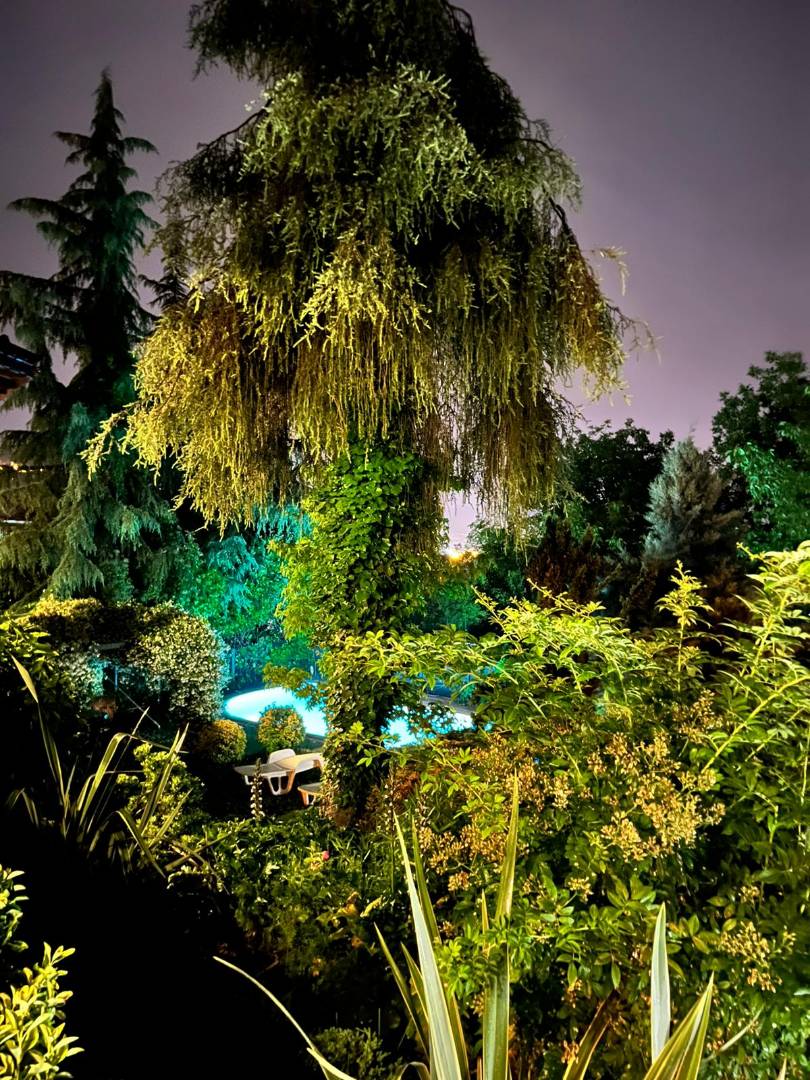 Sapanca'da Doğa İçerisinde, Müstakil Bahçeli, Havuzlu, Korunaklı Villa