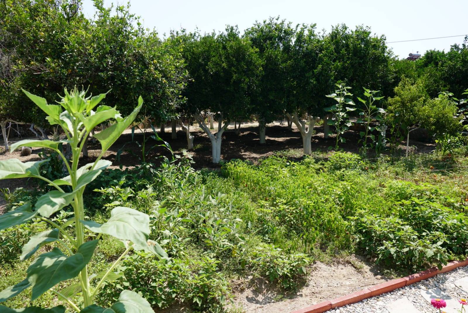 Bodrum Mazı'da Aileler İçin Uygun, Özel Plajlı, Müstakil Villa