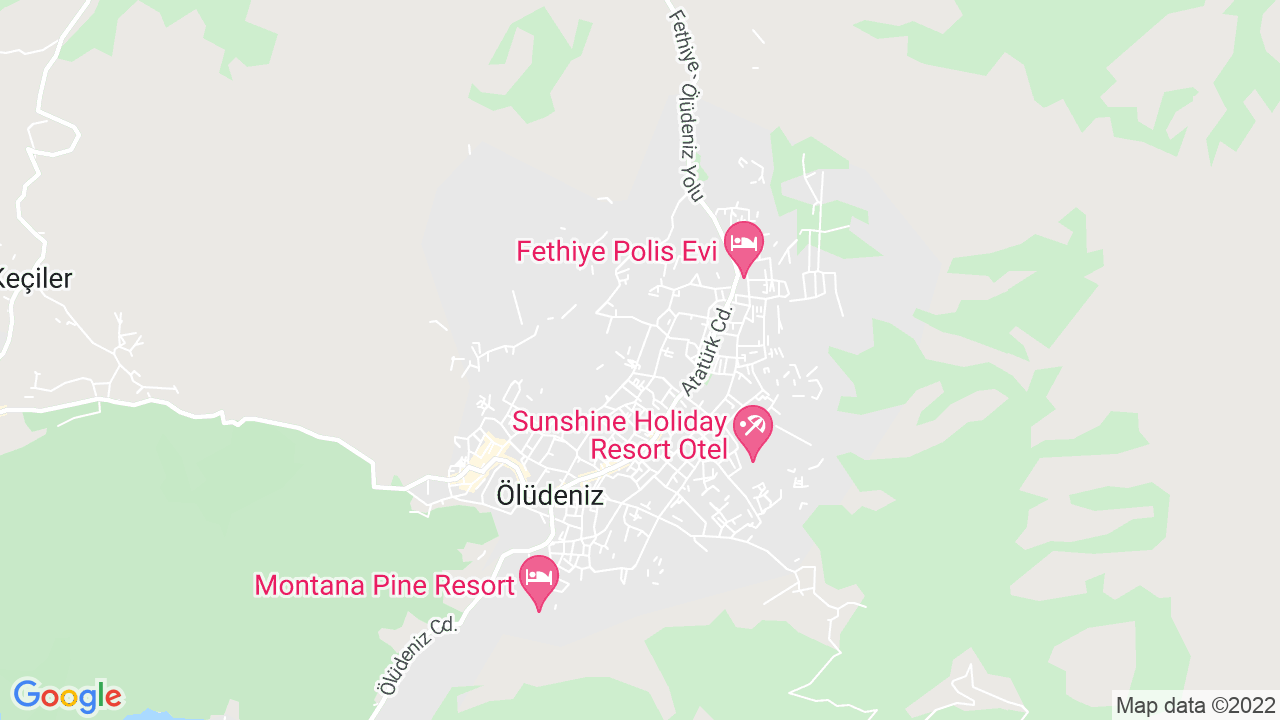 google map