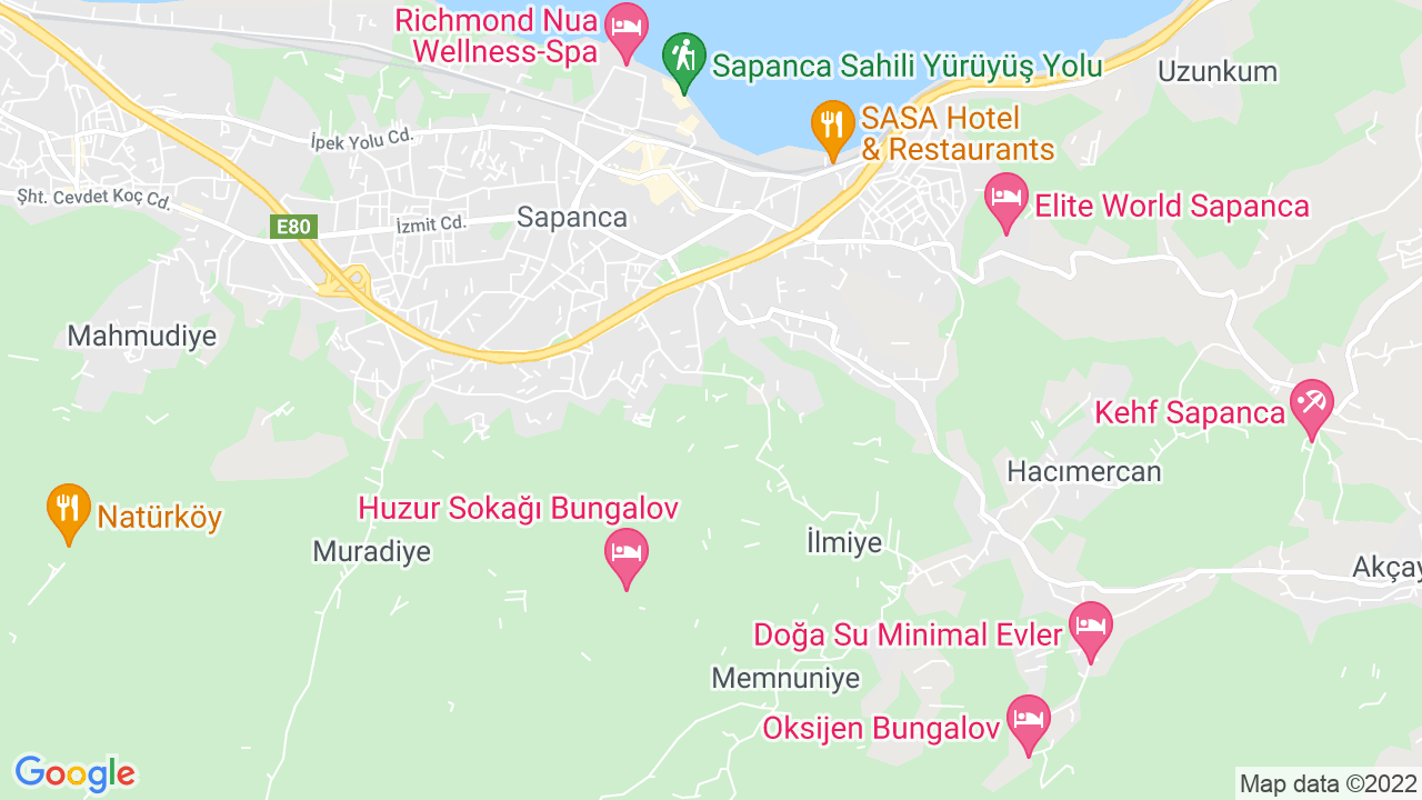 google map
