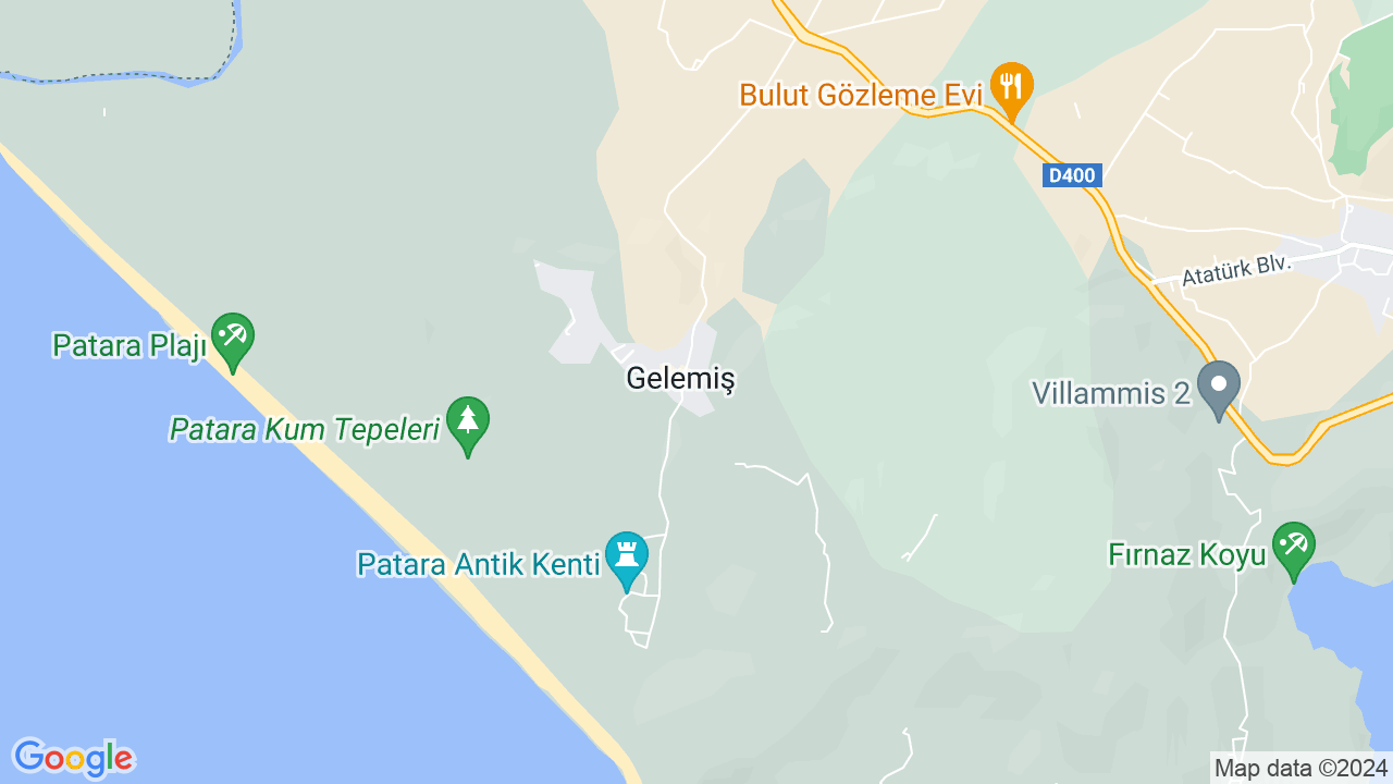 google map