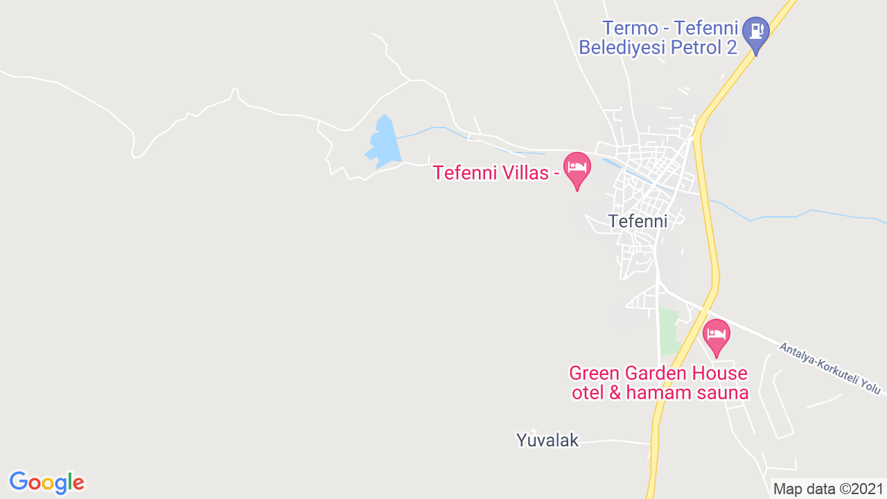 google map