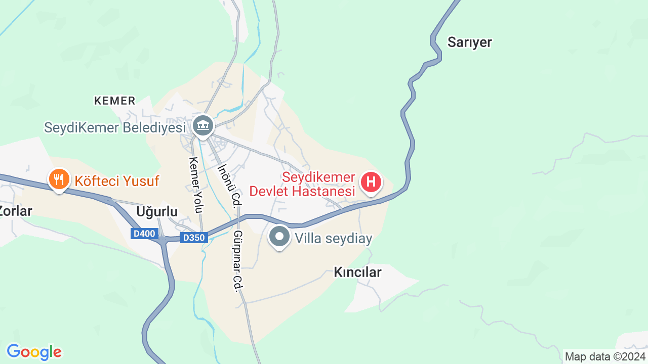 google map