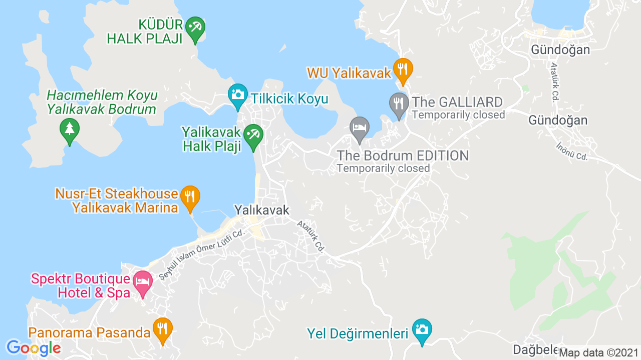 google map