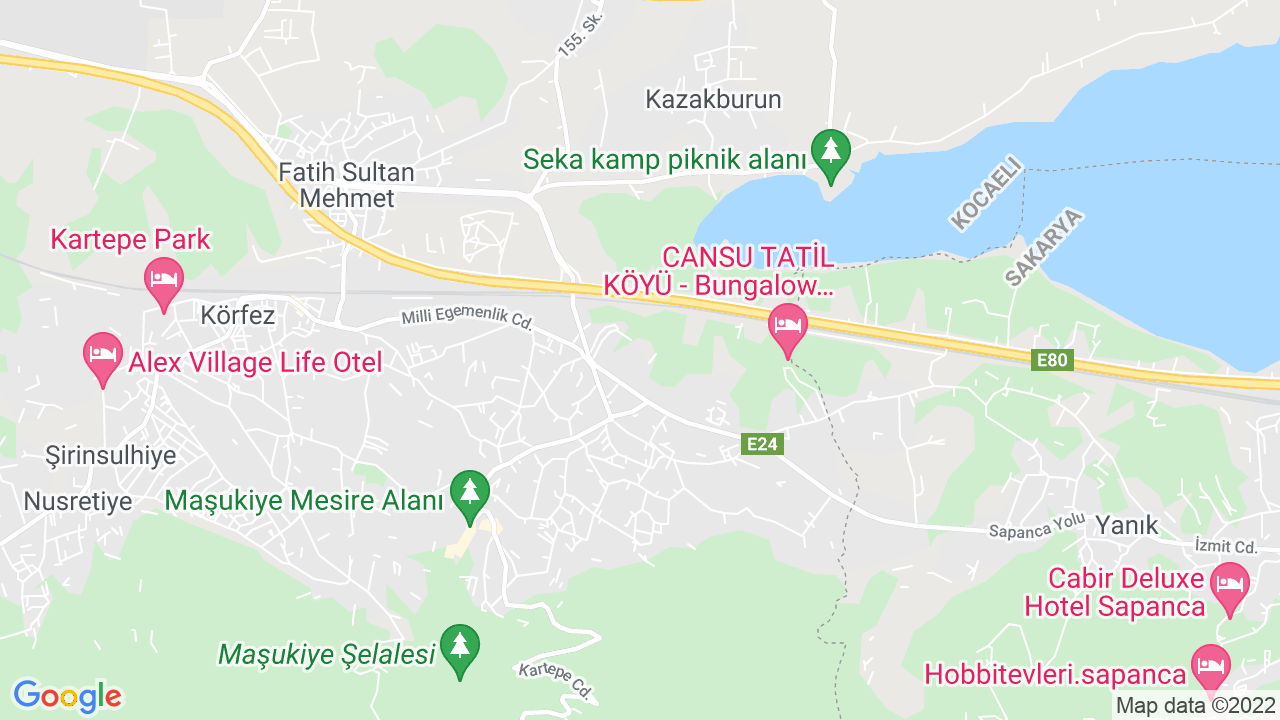google map