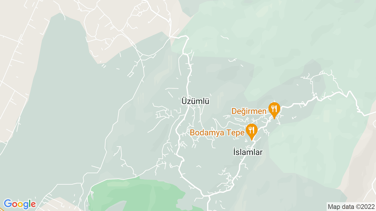 google map