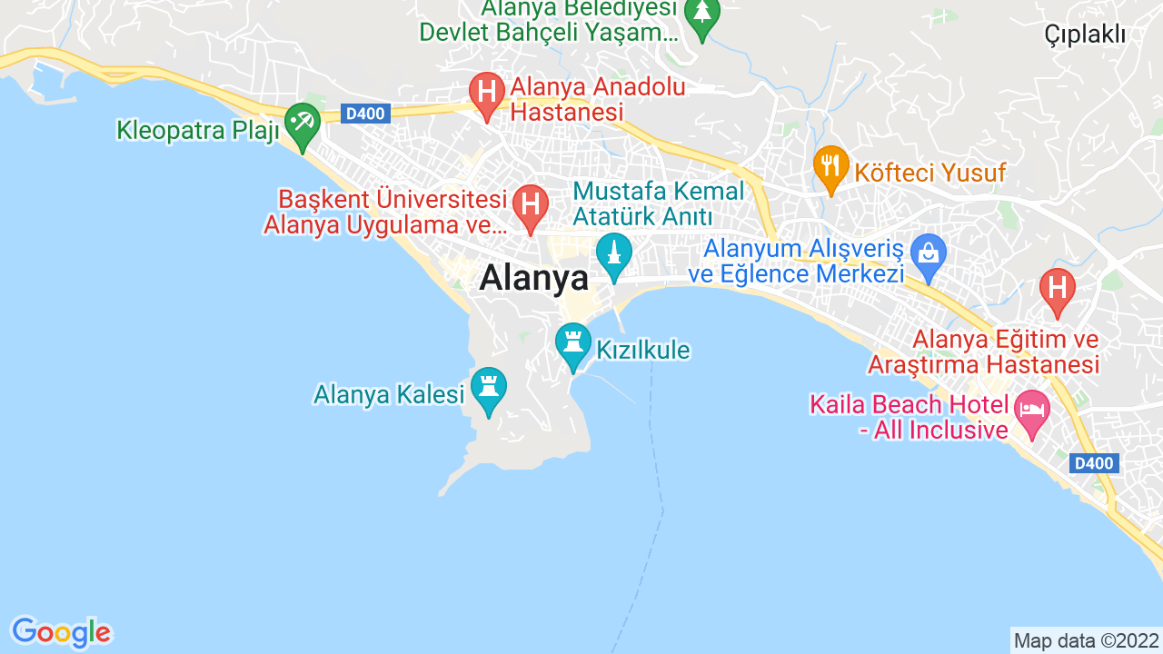 google map