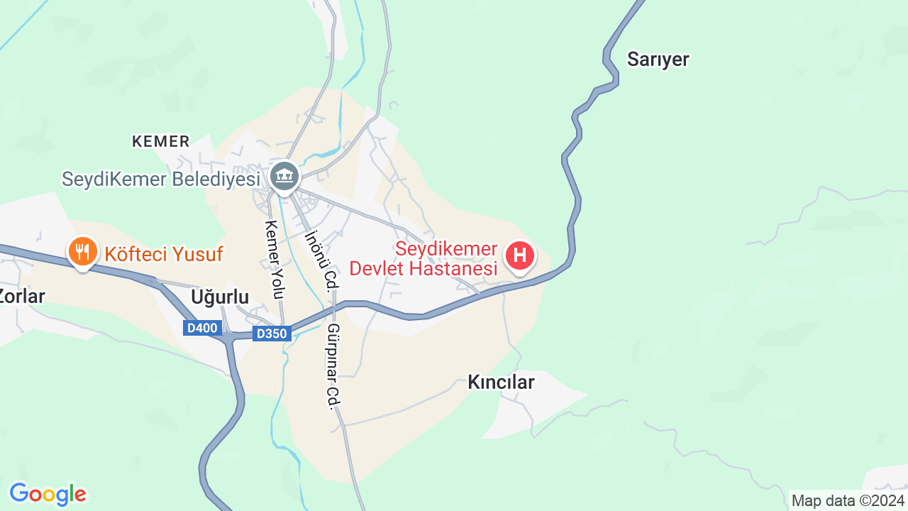 google map