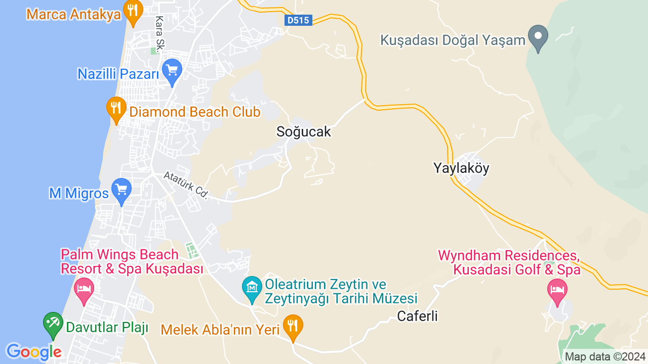 google map