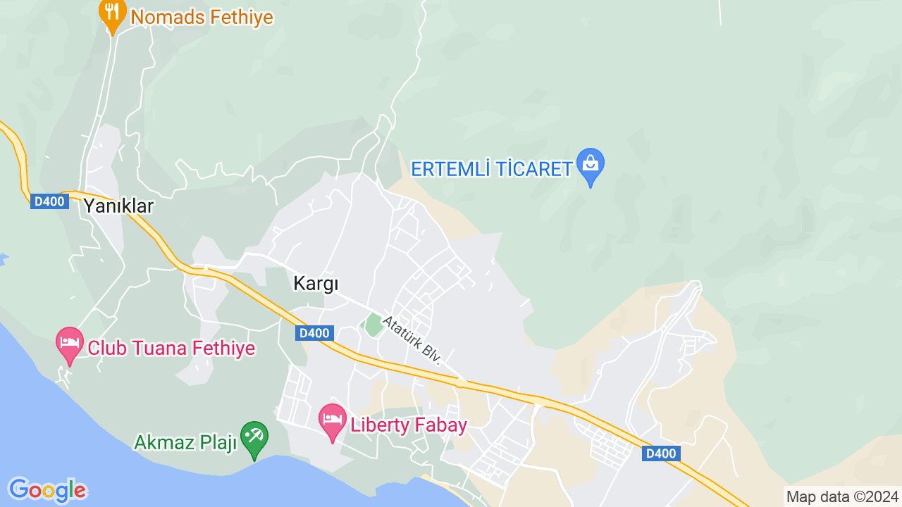 google map