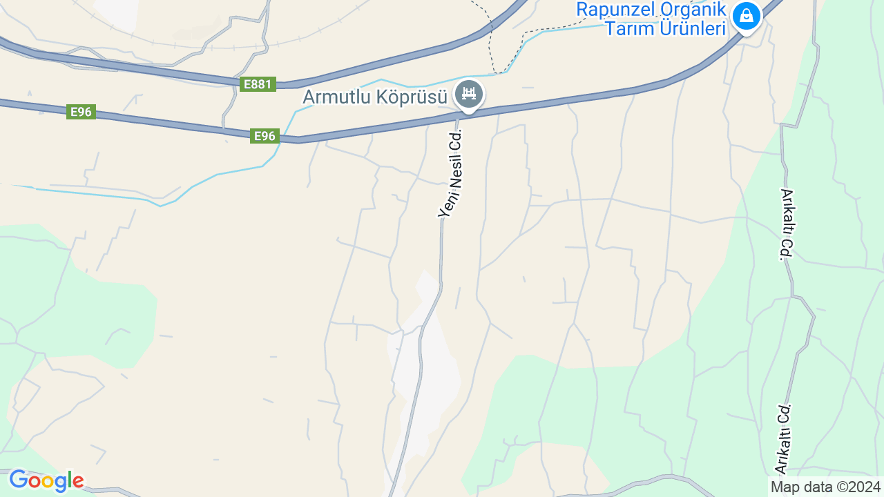 google map