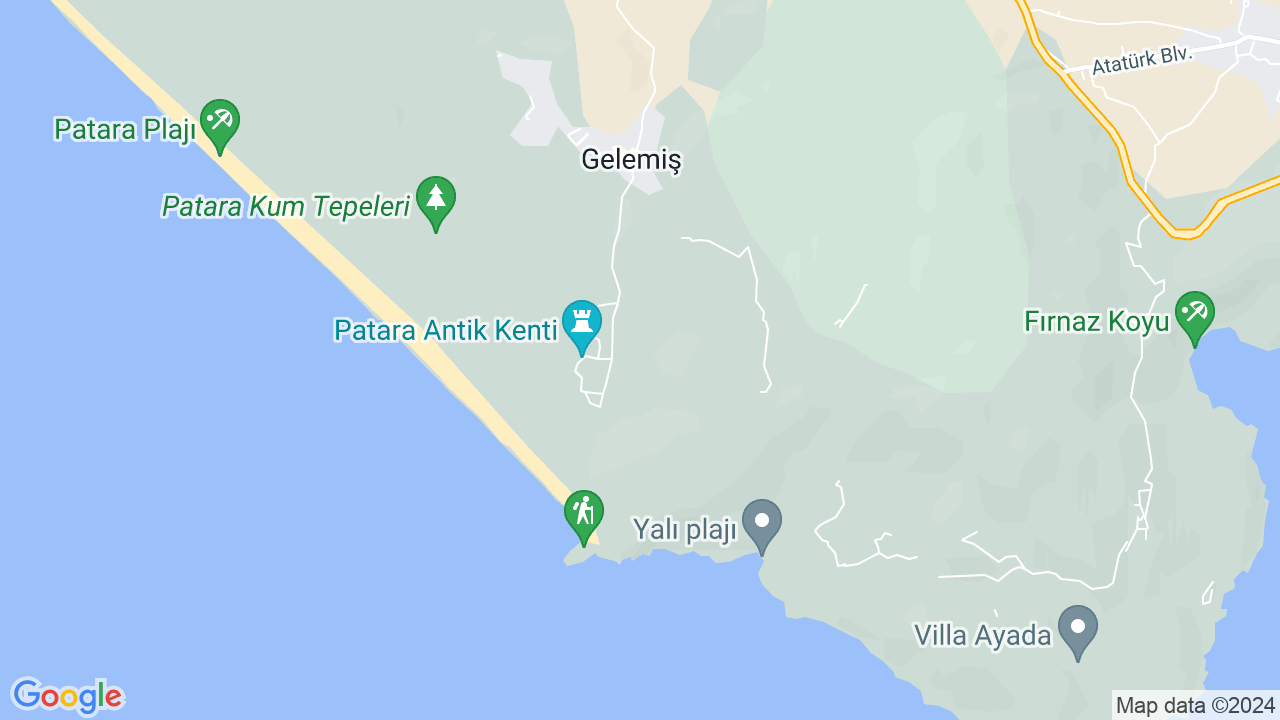 google map