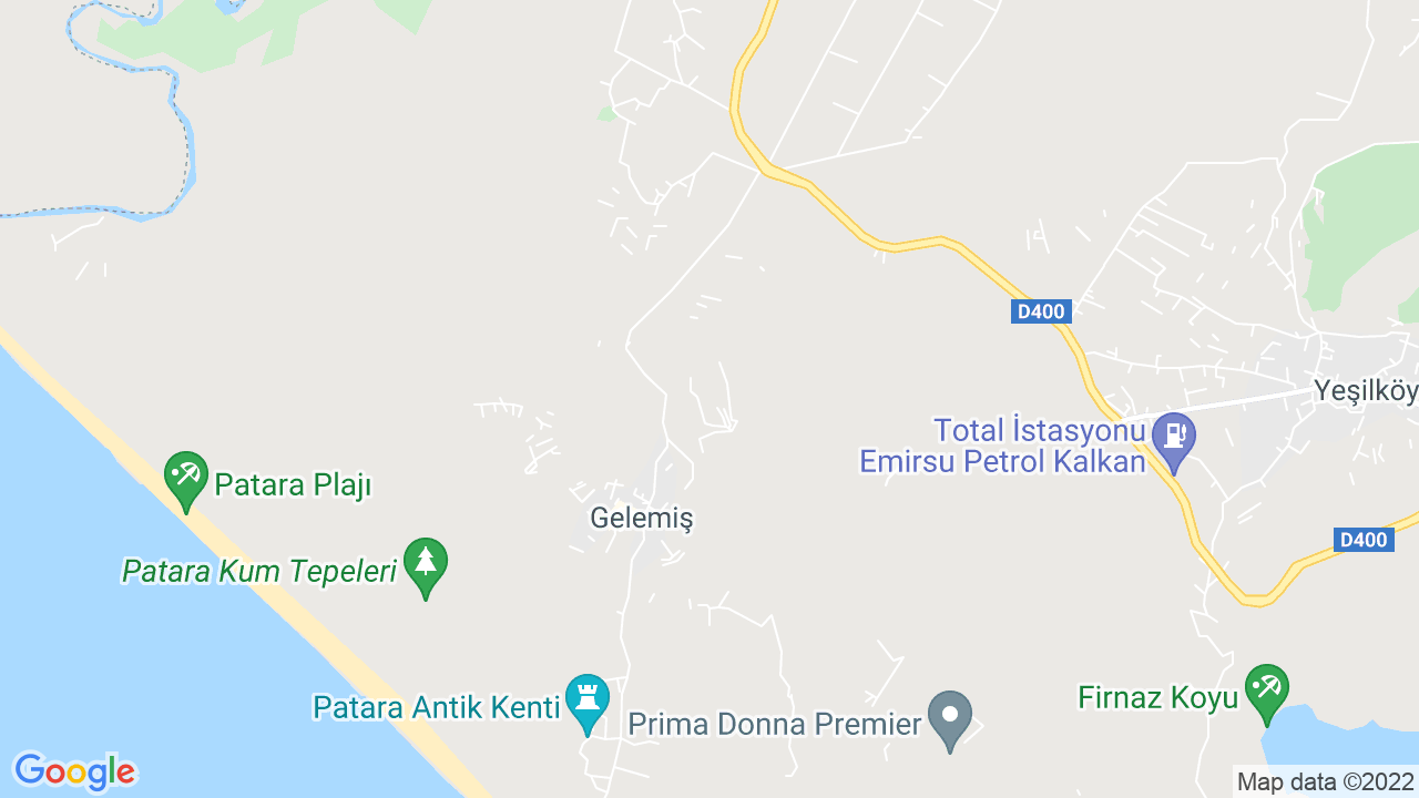 google map