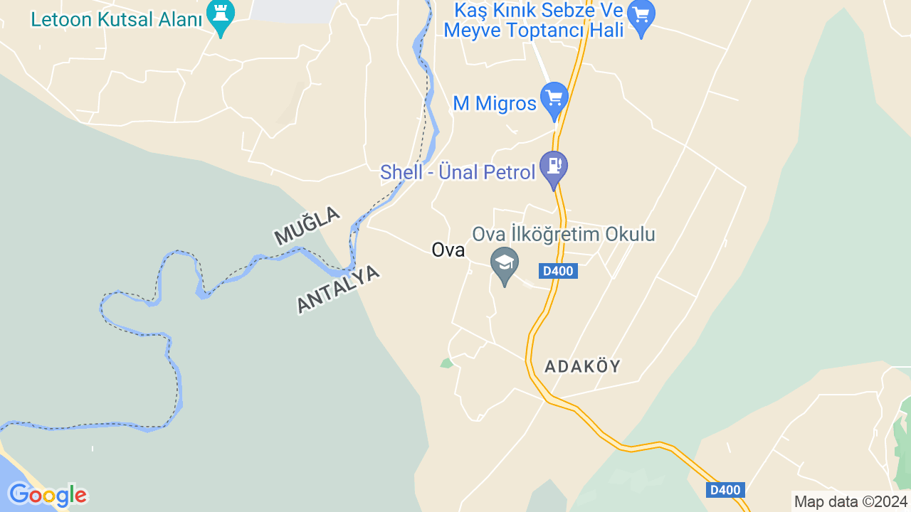 google map