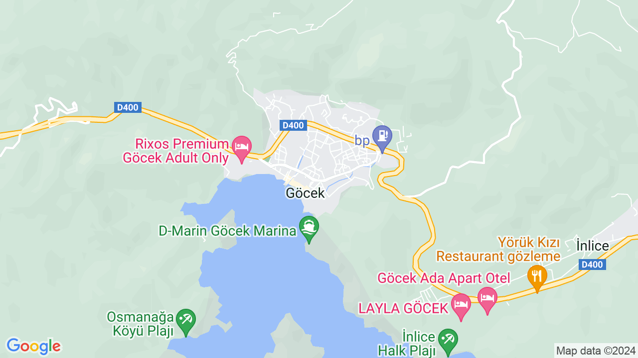 google map