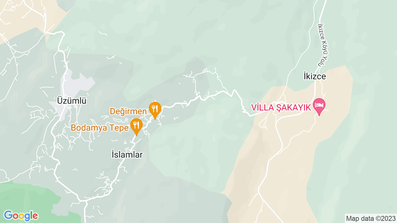 google map