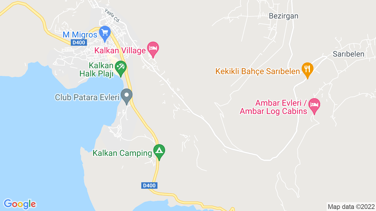 google map