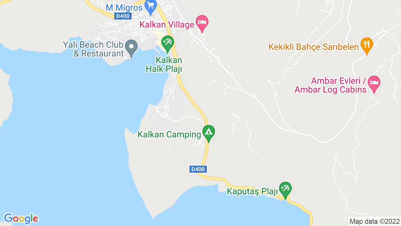 google map