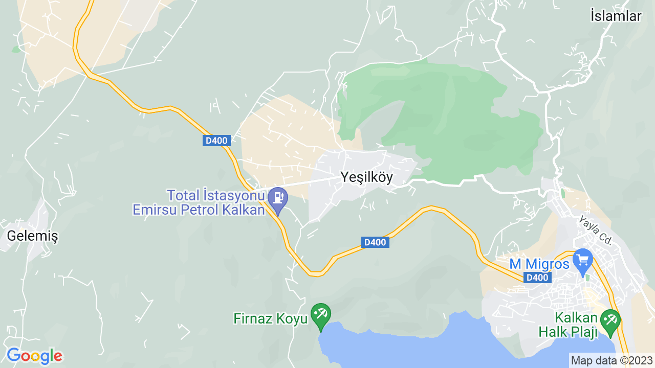 google map