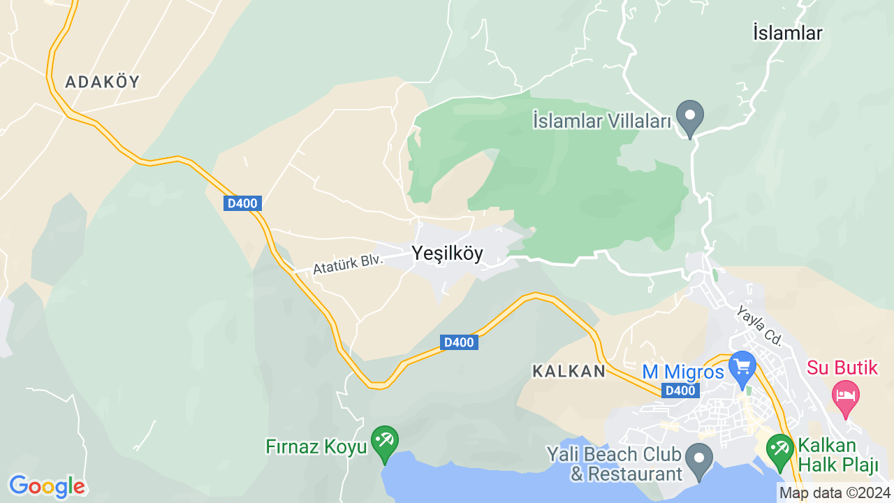 google map