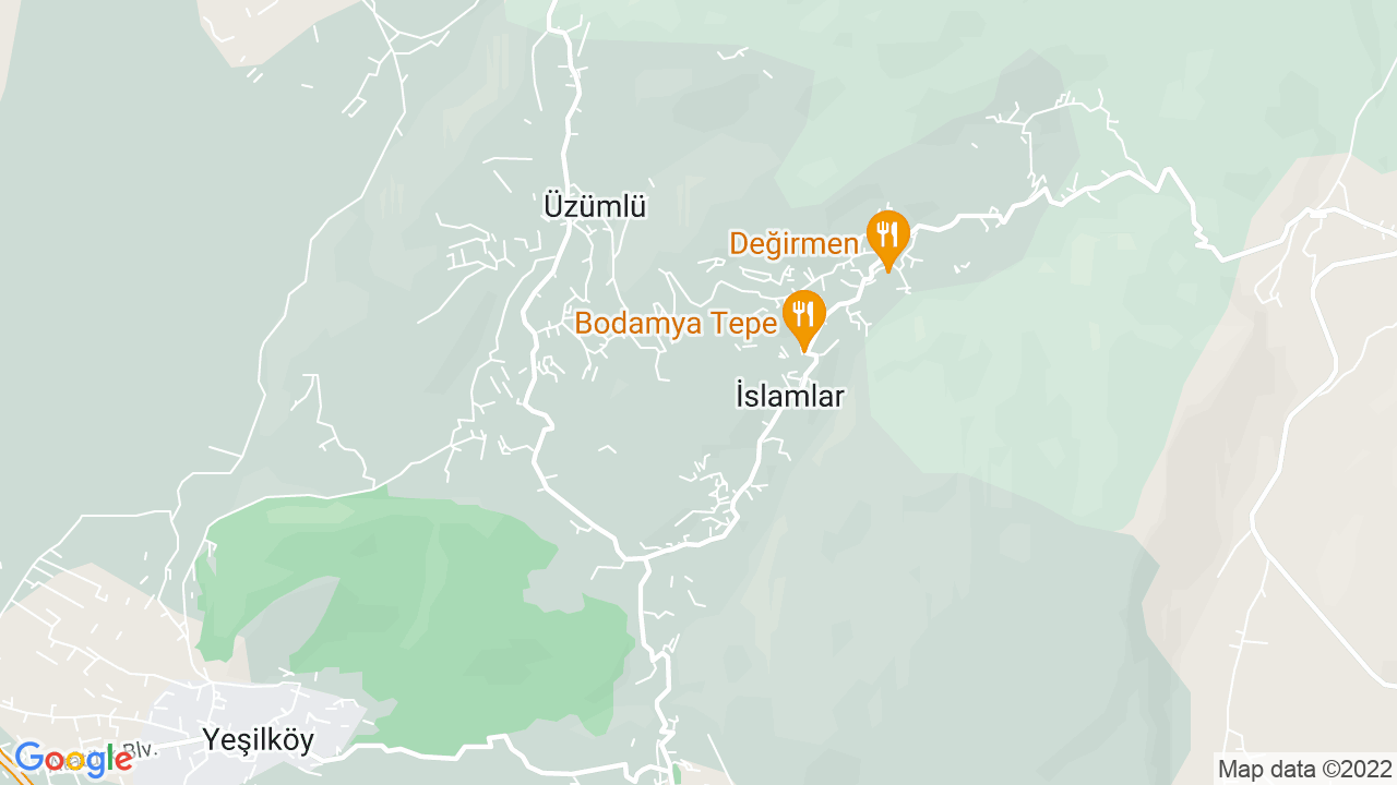 google map
