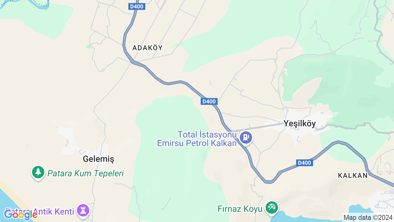 google map