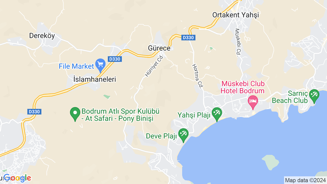 google map