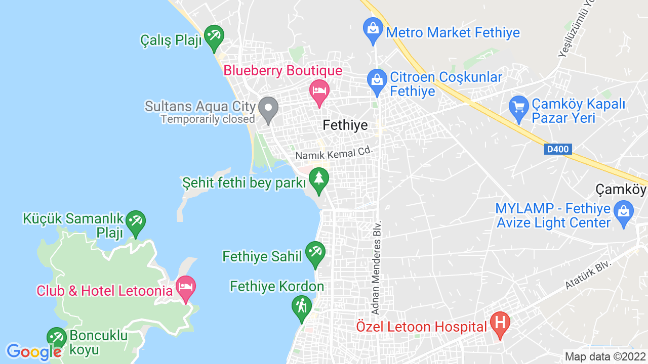 google map