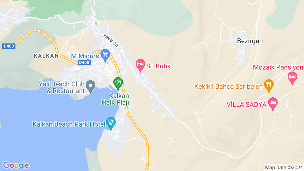 google map