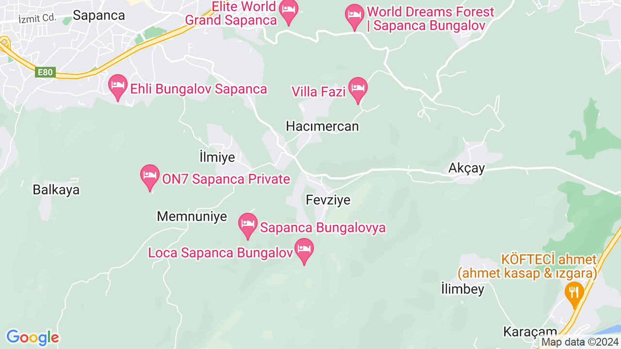 google map