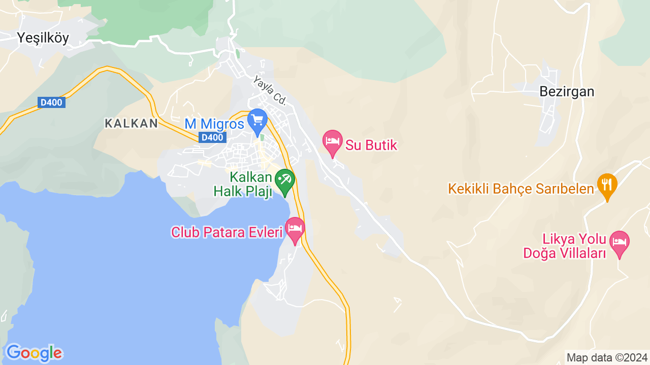 google map