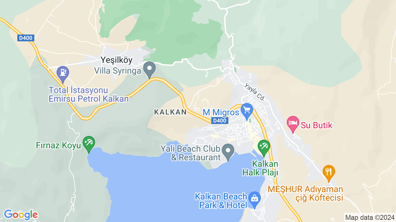 google map