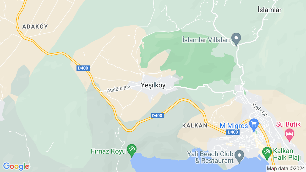 google map