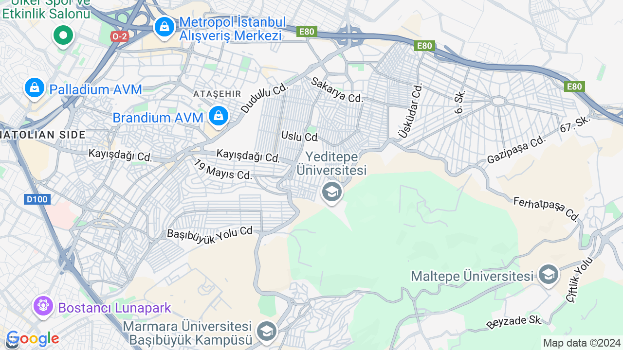 google map