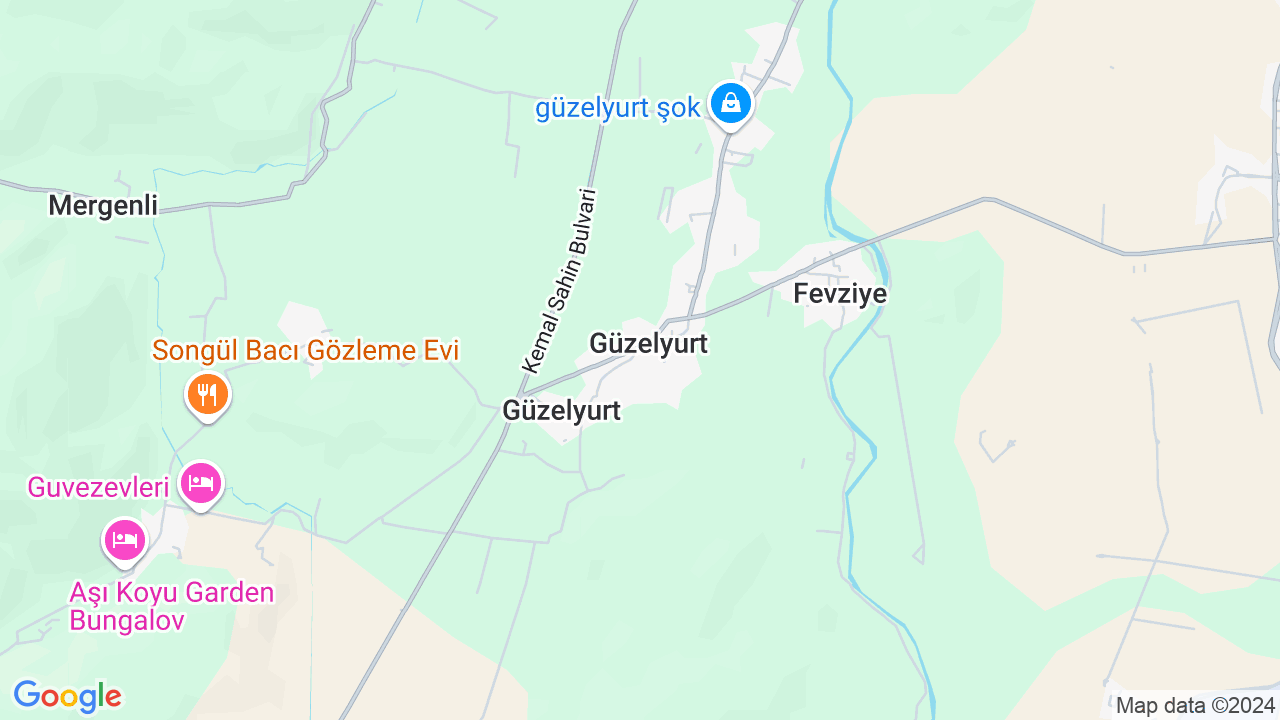 google map