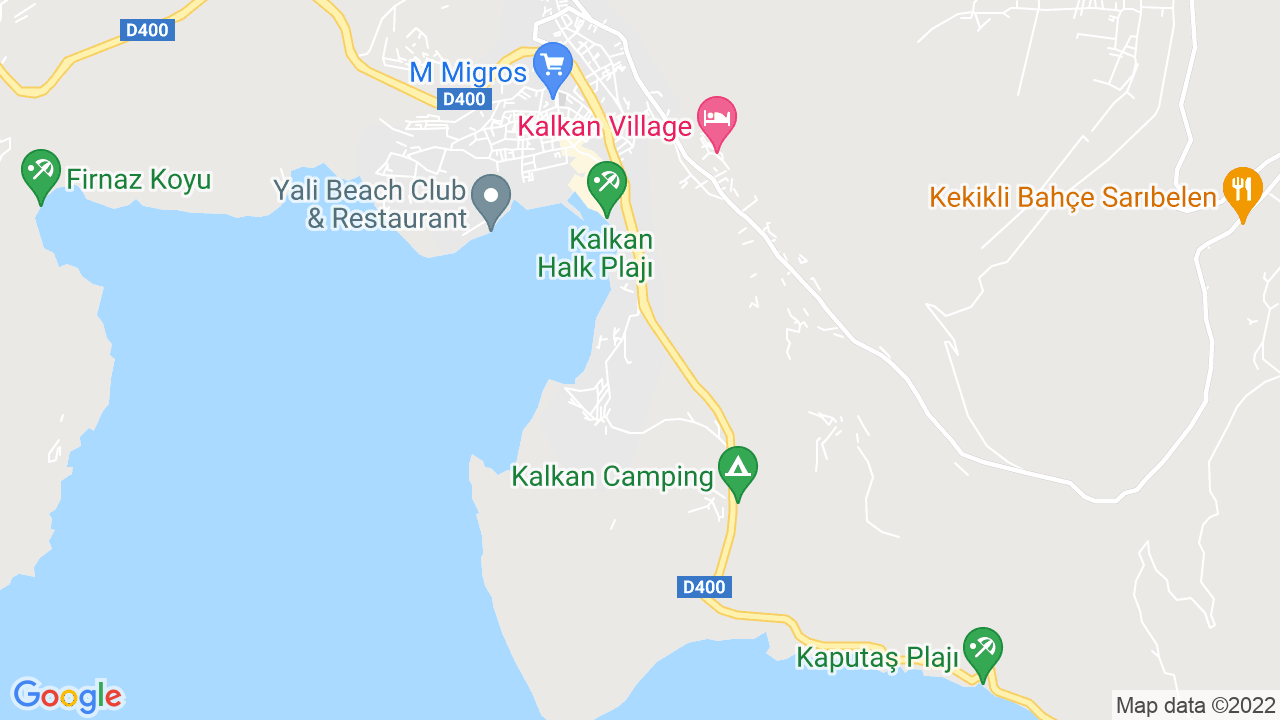 google map
