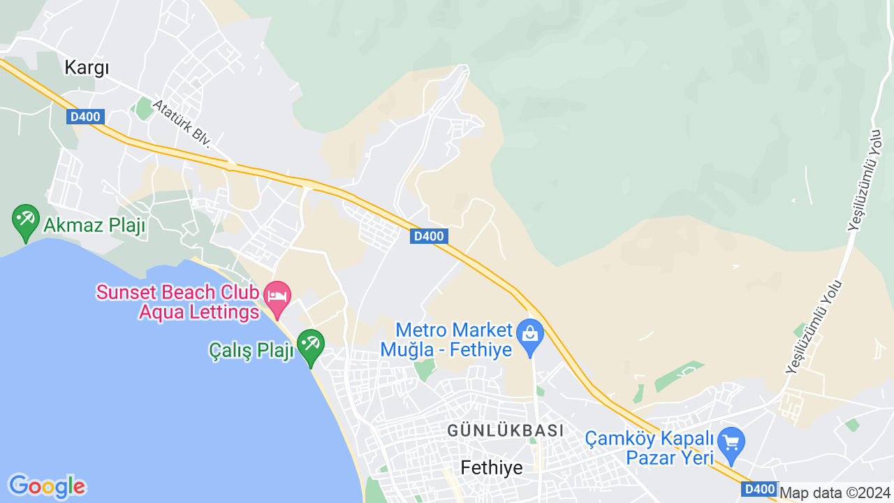 google map