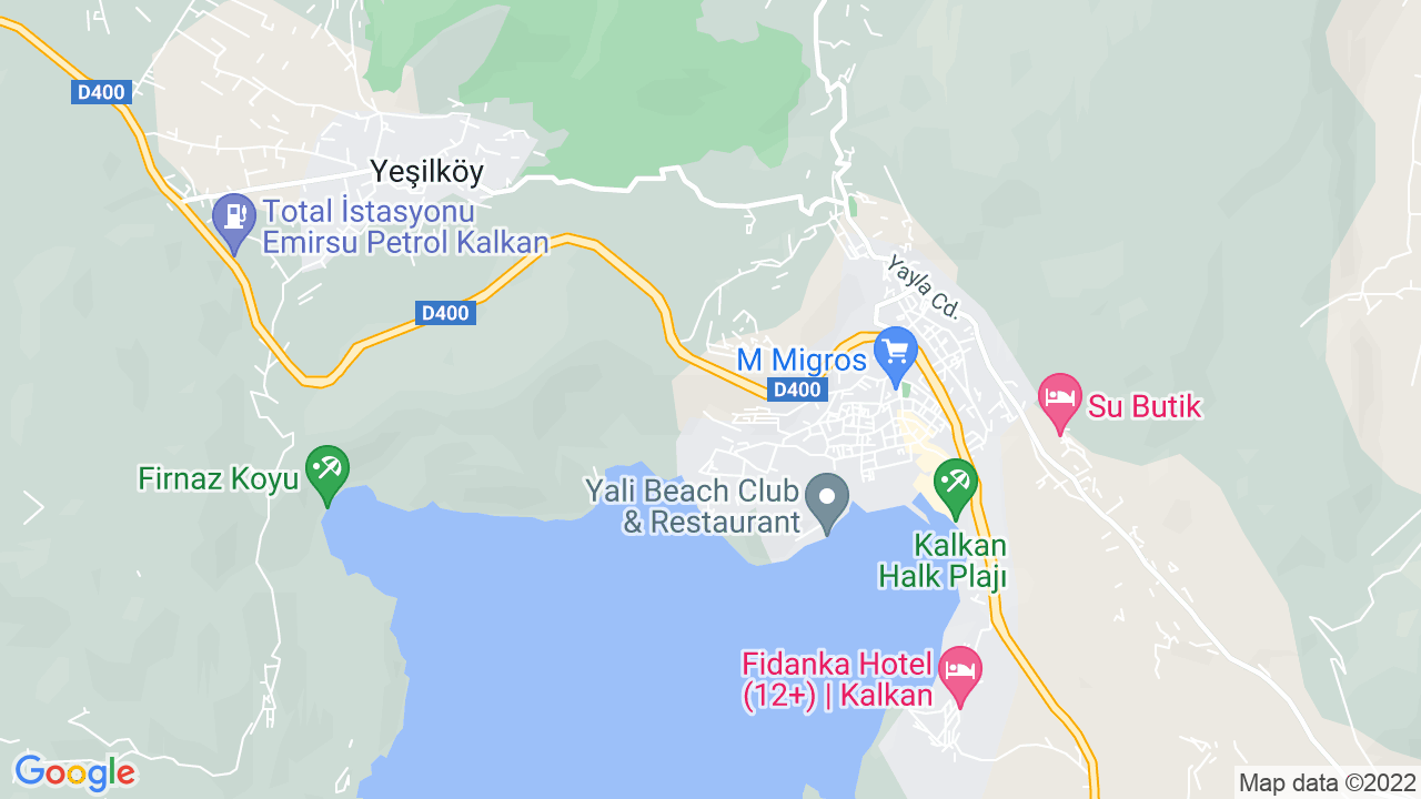 google map