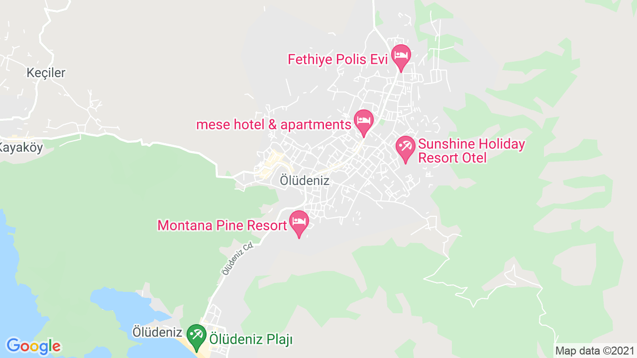 google map