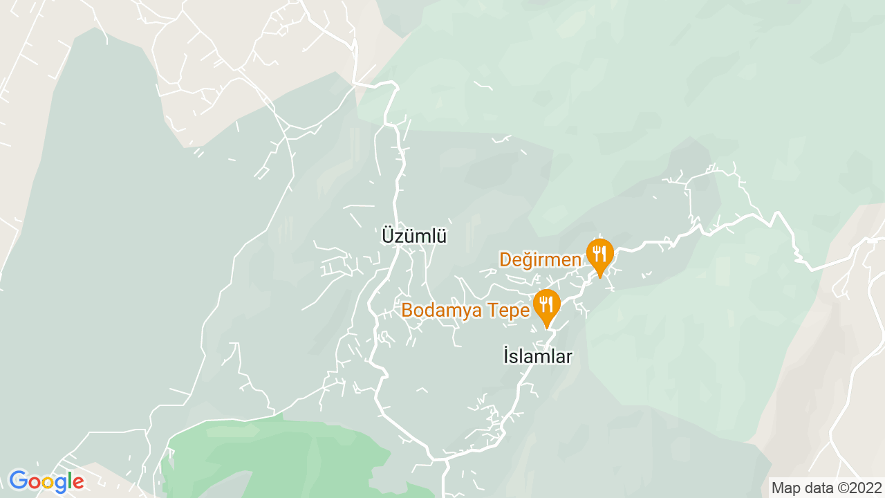 google map