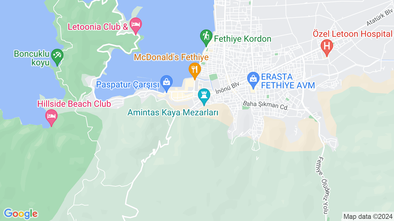 google map